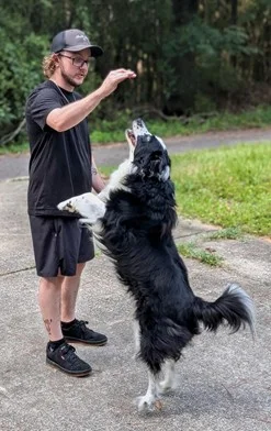 Ashton Foster, dog trainer at Off Leash K9 Training Birmingham